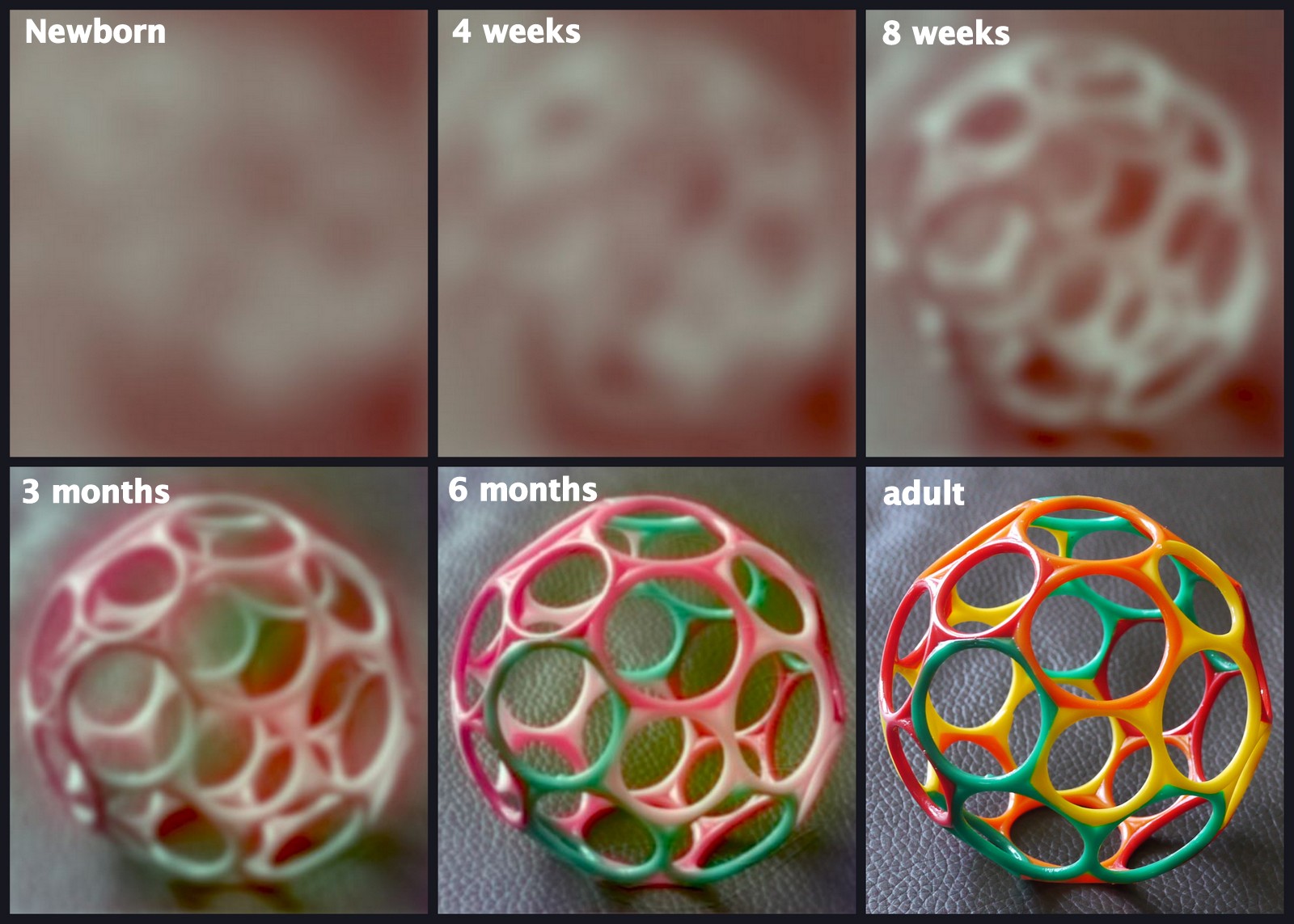 pin-on-pregnancy-months